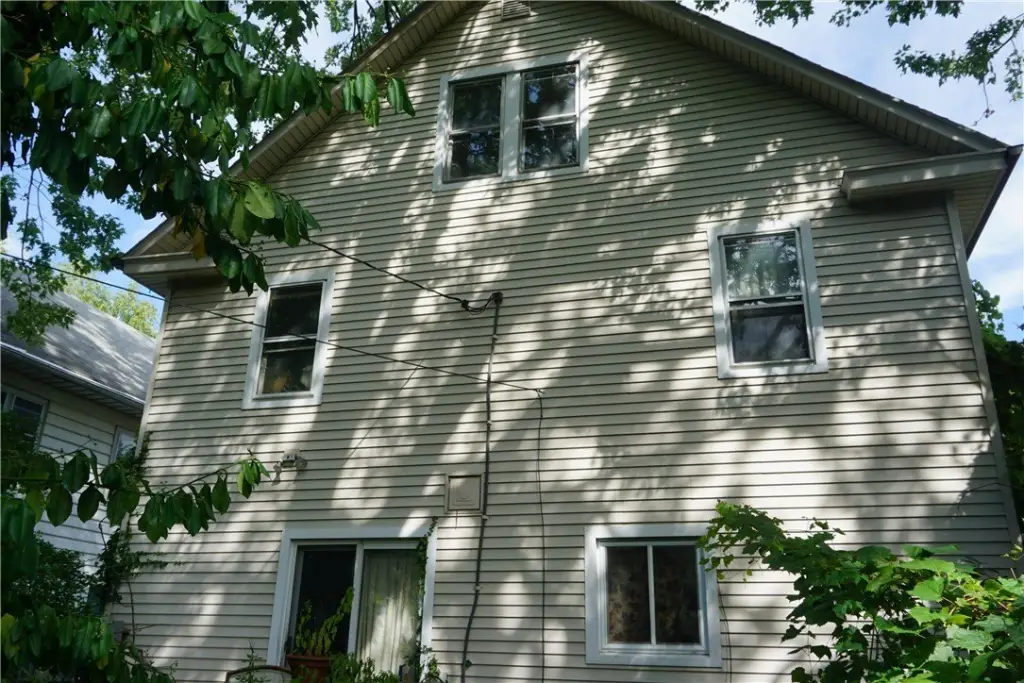 Picture 5