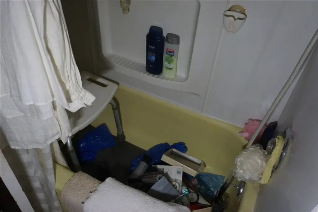 Picture 21