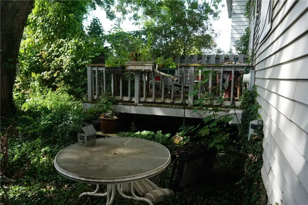 Picture 4