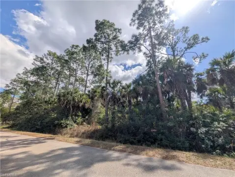 Exceptional 2.73-Acre Parcel in Naples