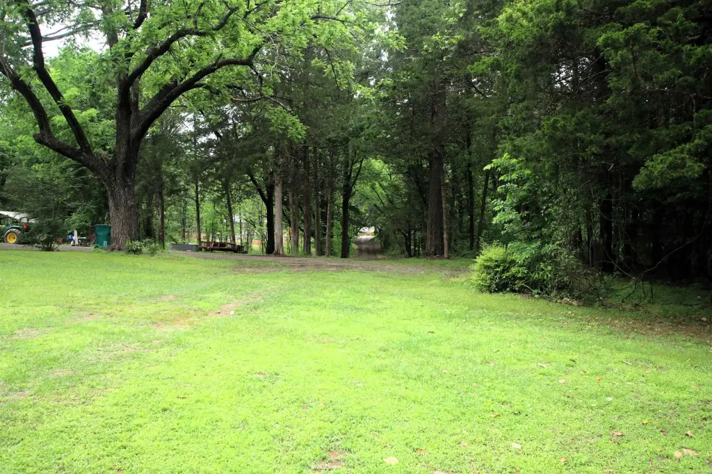 Picture 21