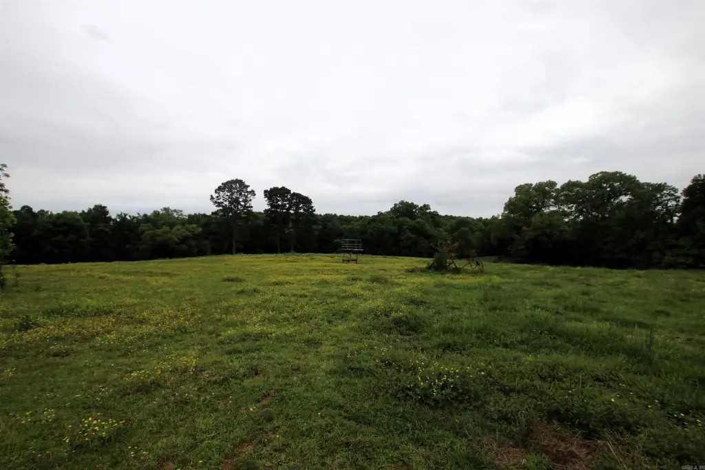 Picture 41