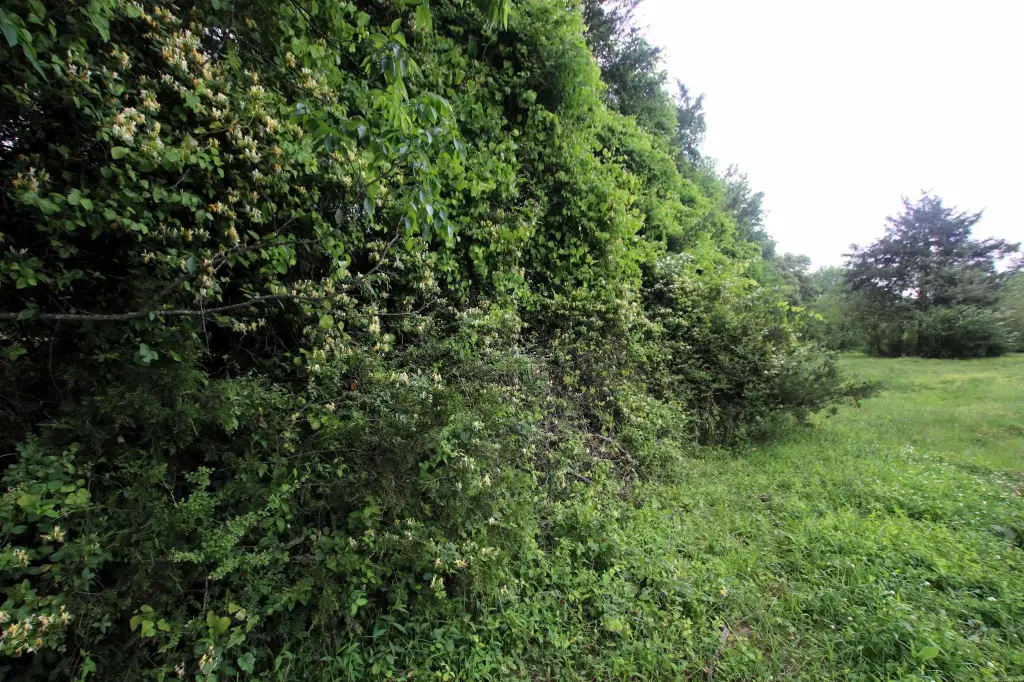 Picture 34