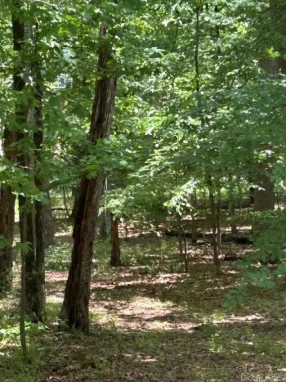 Picture 3