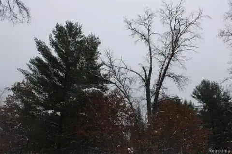 Wooded Land in Ogemaw County