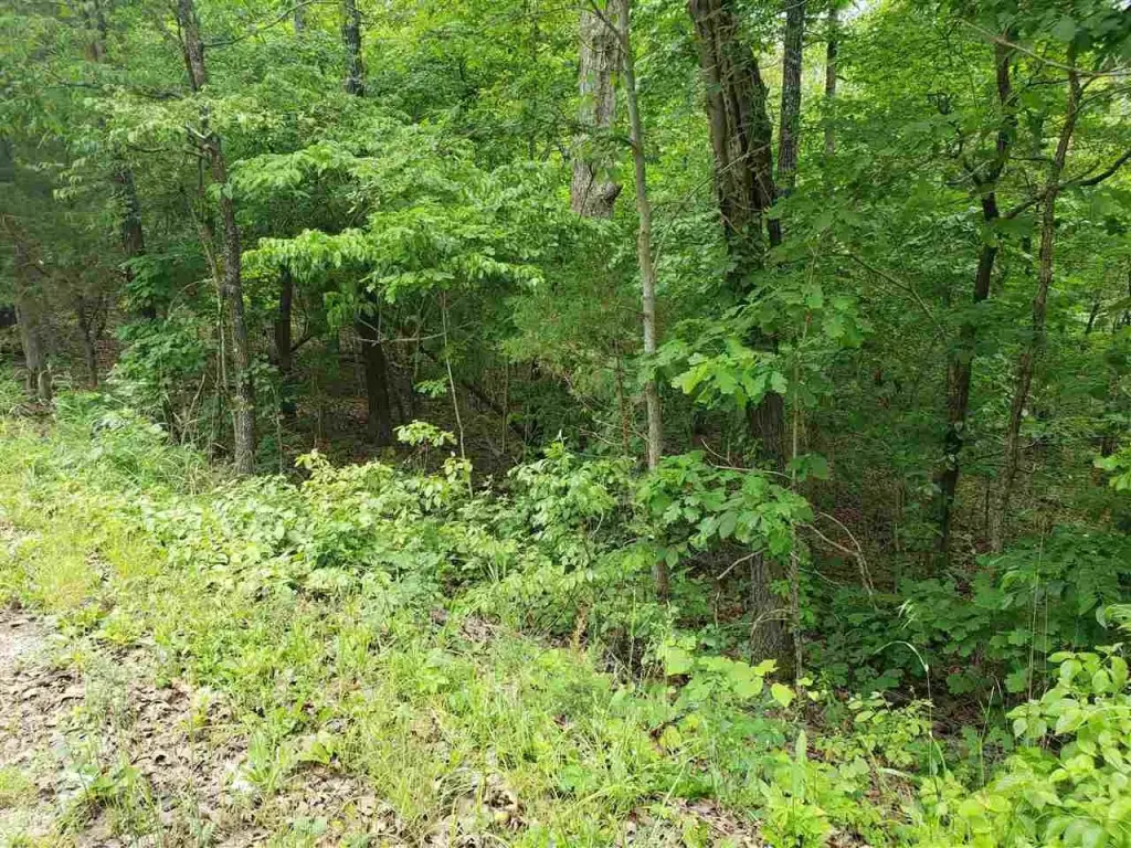 Picture 3