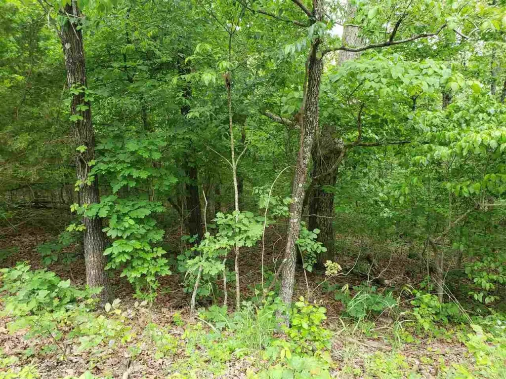 Picture 16
