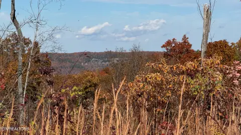 Land with Mountain Views