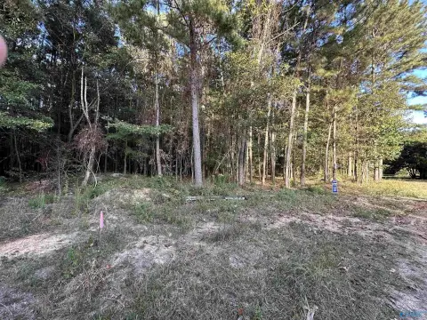 Lakefront Recreational Land