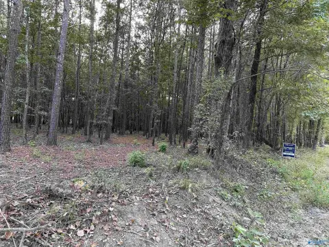 Level Recreational Land