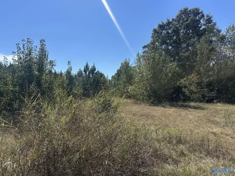 Commercial Land with Public Utilities