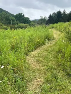 Wooded Land with Pond