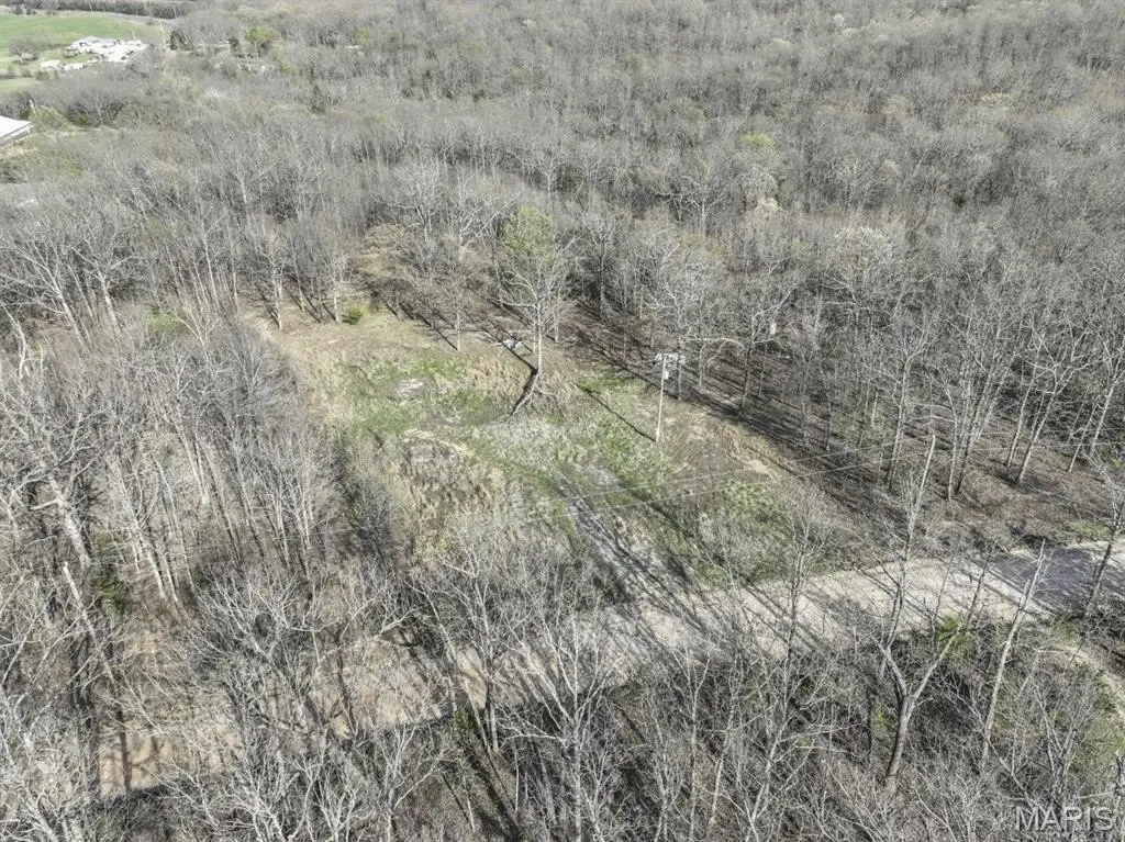 Picture 12