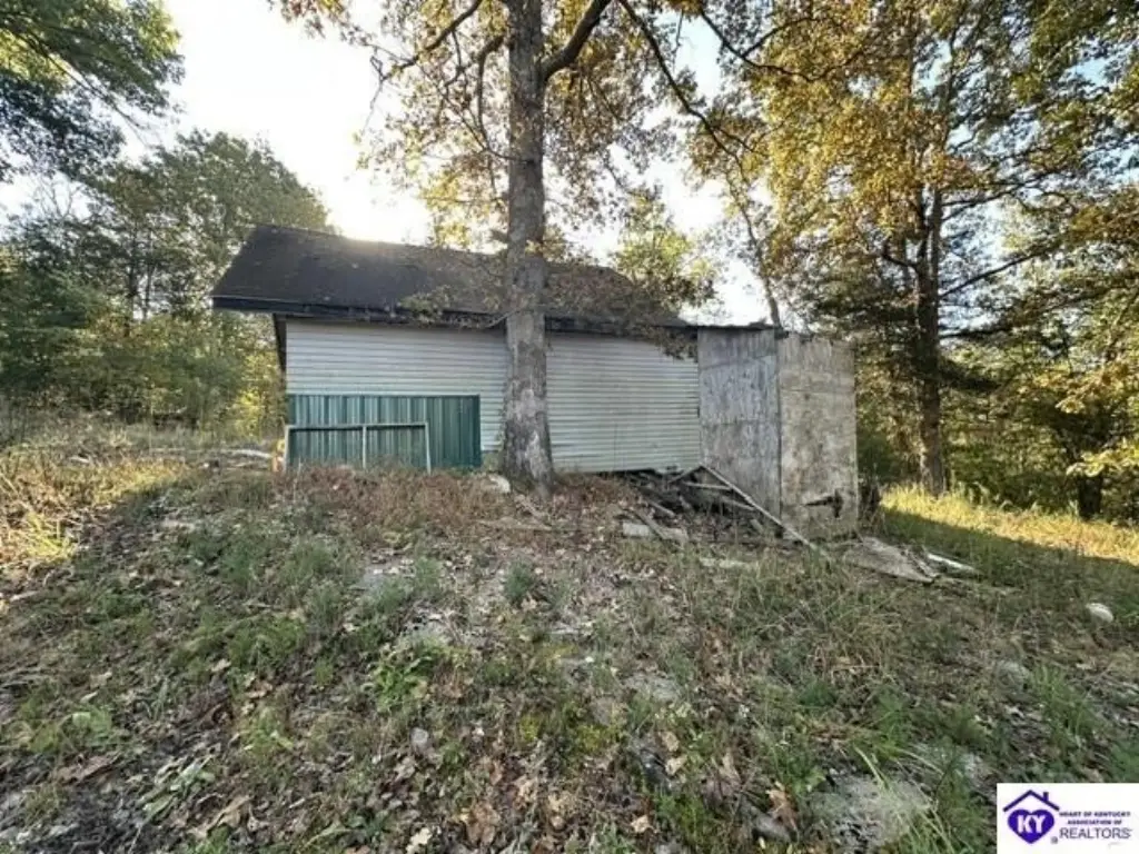 Picture 4