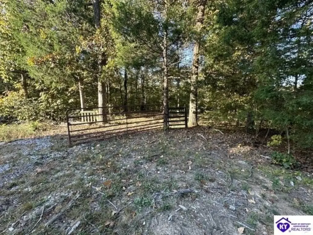 Picture 10
