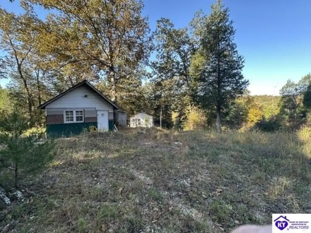 Picture 5