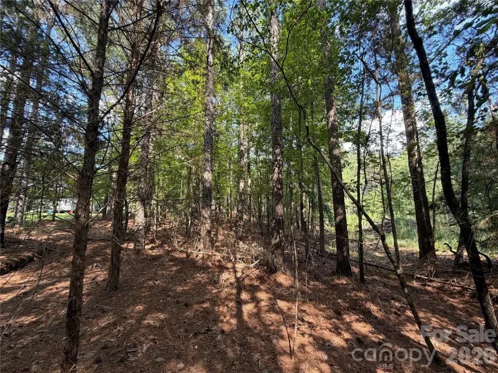 Picture 33