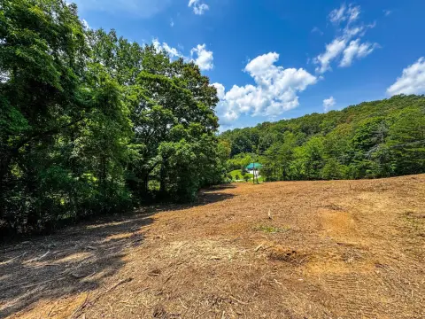 Lake City Vacant Land