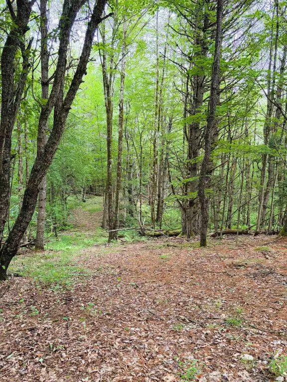 Picture 17