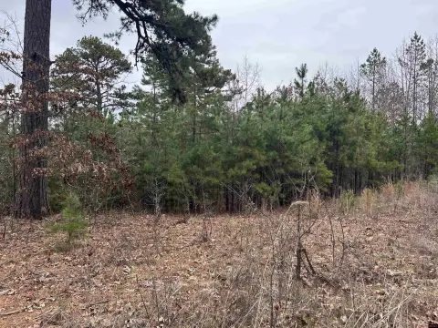 28 Acres Wooded Land, Harriet