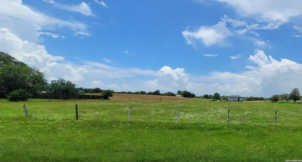 Picture 9