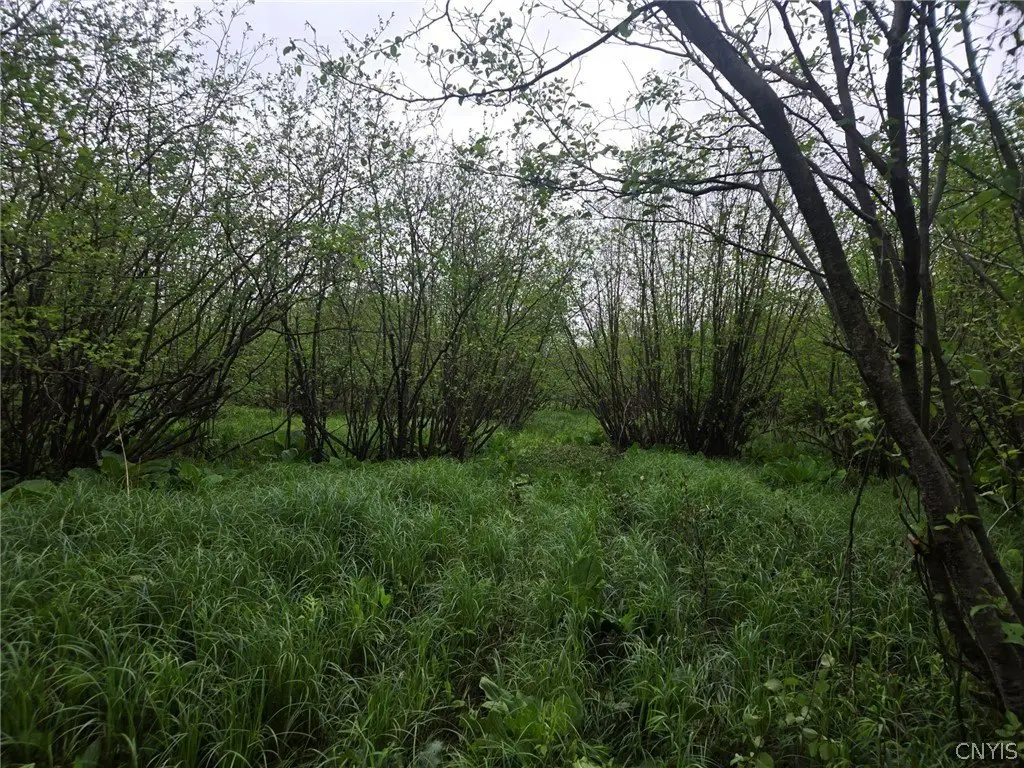 Picture 21