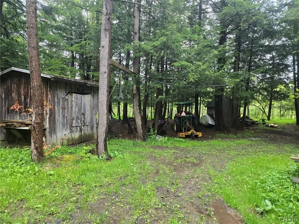 Picture 14