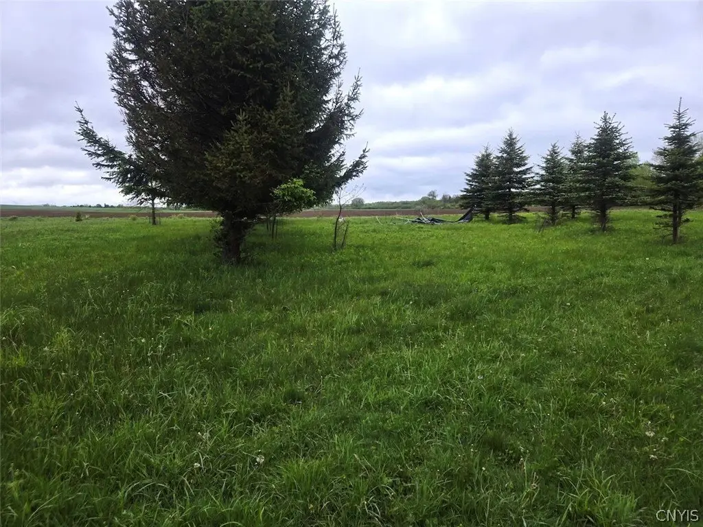 Picture 33