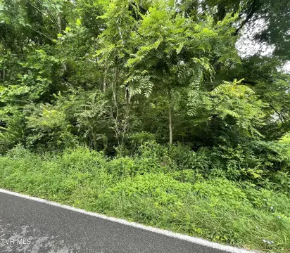 Unrestricted Lot Awaits Your Vision