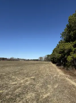 18 Acres of Tillable Land