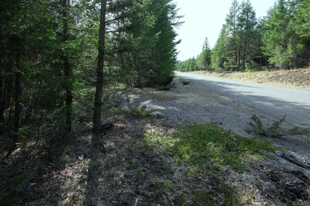 Picture 21