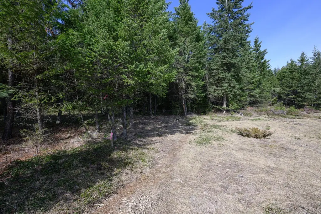 Picture 23