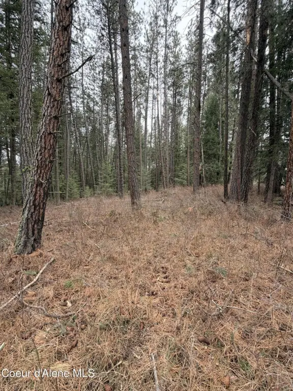 Picture 12