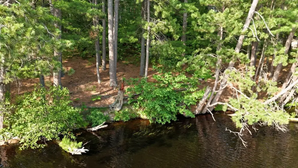 Picture 3