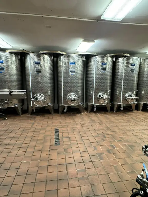 Picture 25