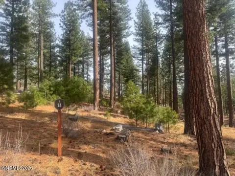 Land Near Lake Tahoe
