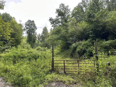 Wooded Hunting Land