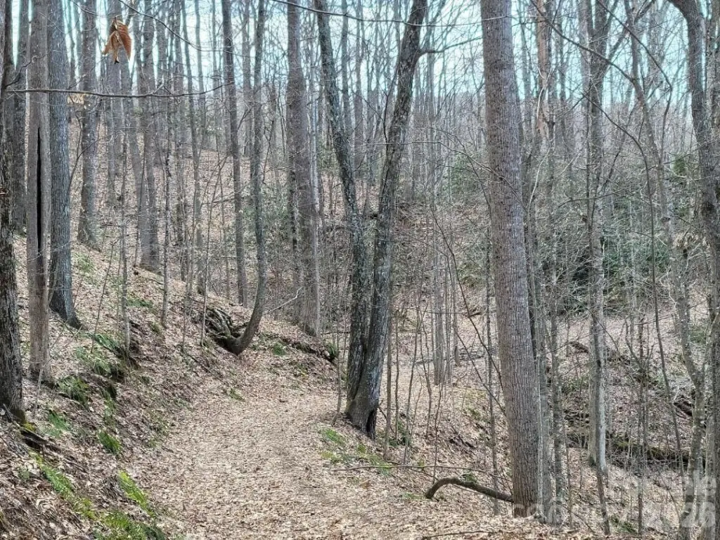 Picture 36
