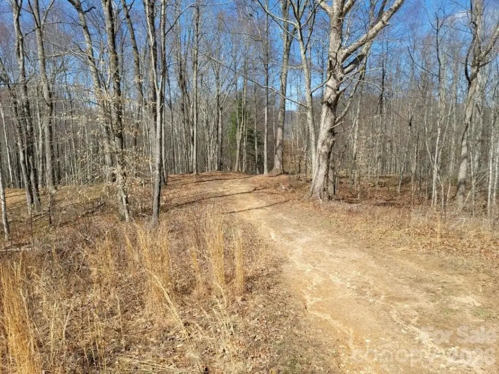 Picture 19
