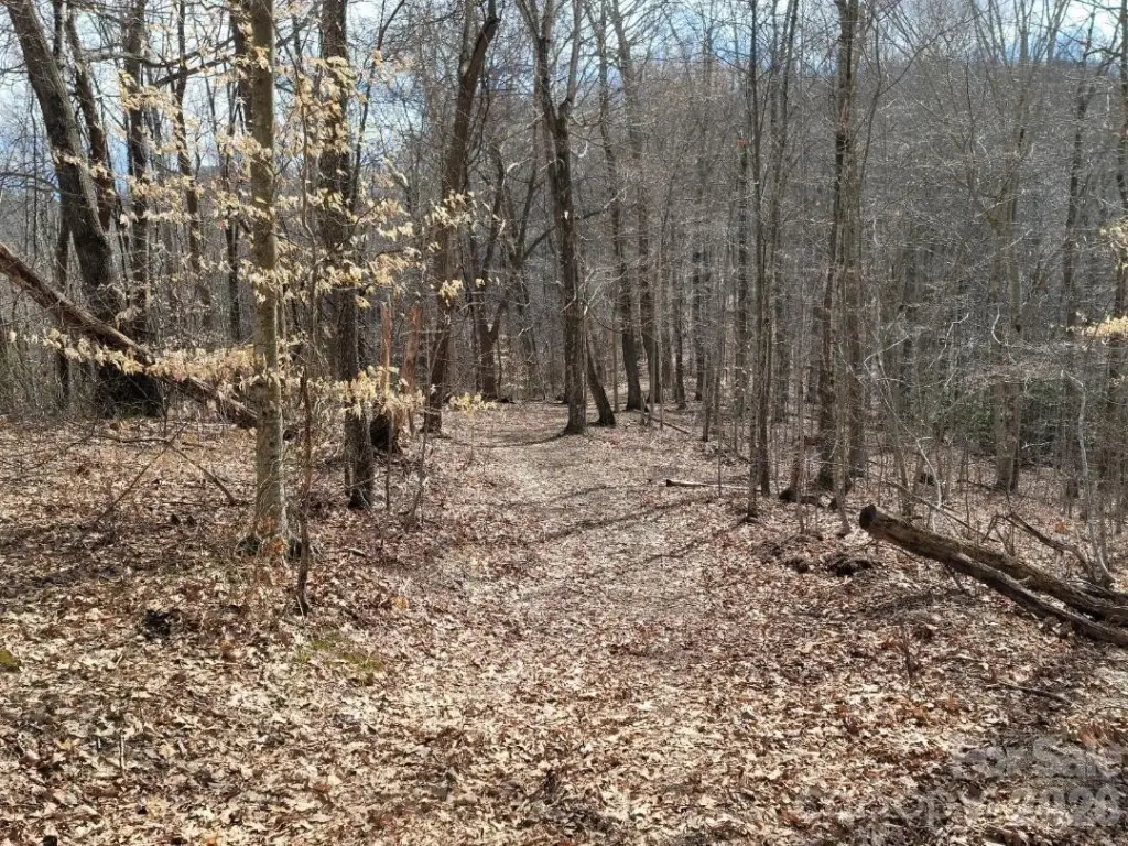 Picture 31