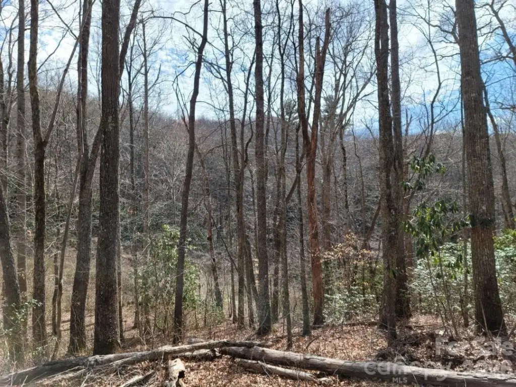 Picture 21