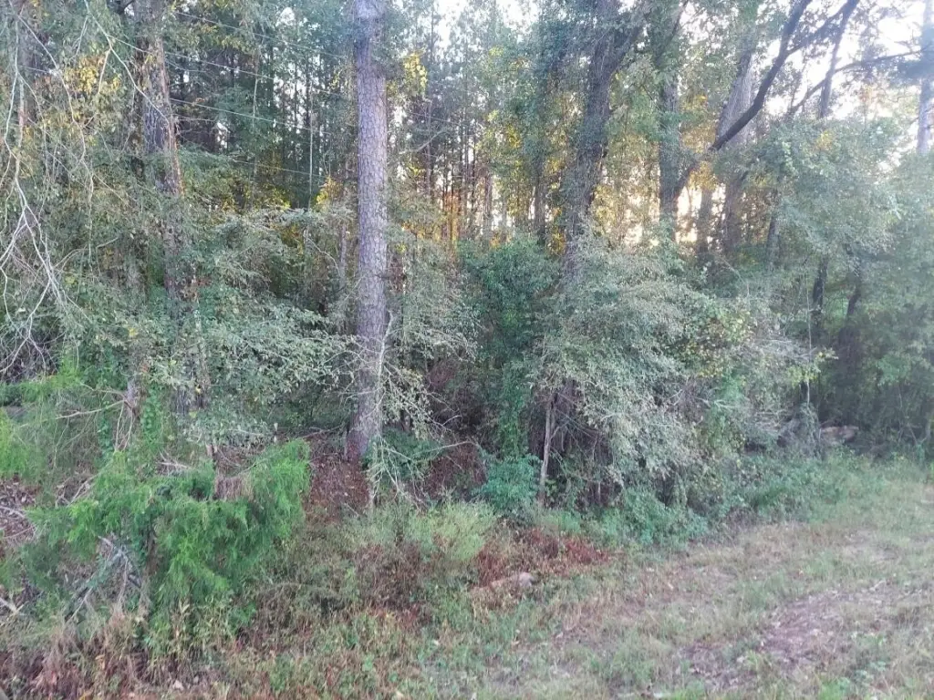 Picture 2