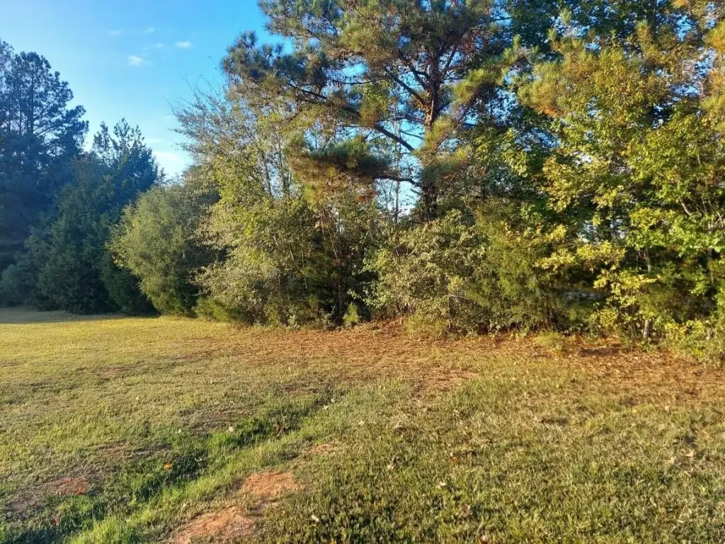 Picture 3