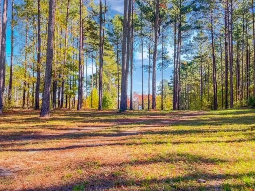 Picture 7