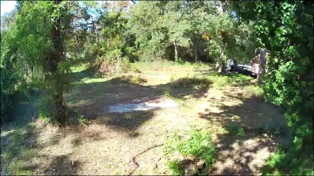 Picture 6