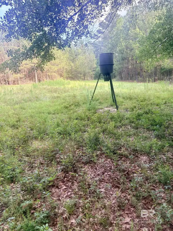 Picture 12