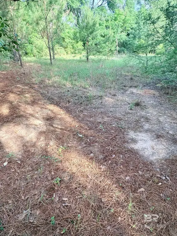 Picture 13