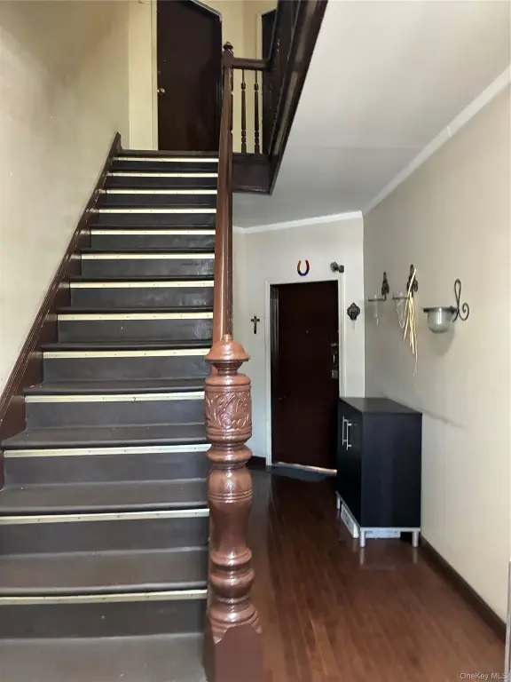 Picture 25