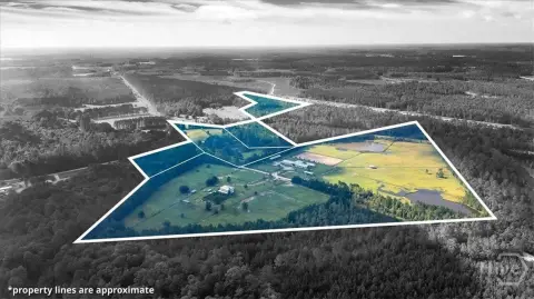 84+ Acres in Bloomingdale, GA