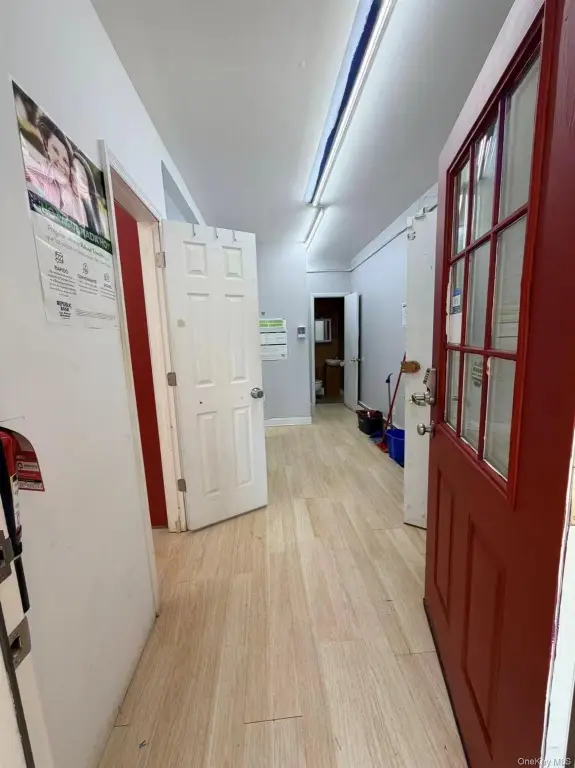 Picture 5
